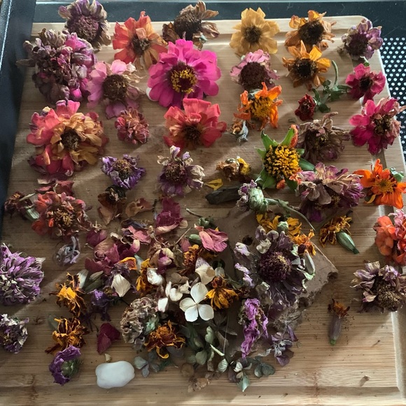 Meet your Posher, Terri lynn - Picture 12 of 16